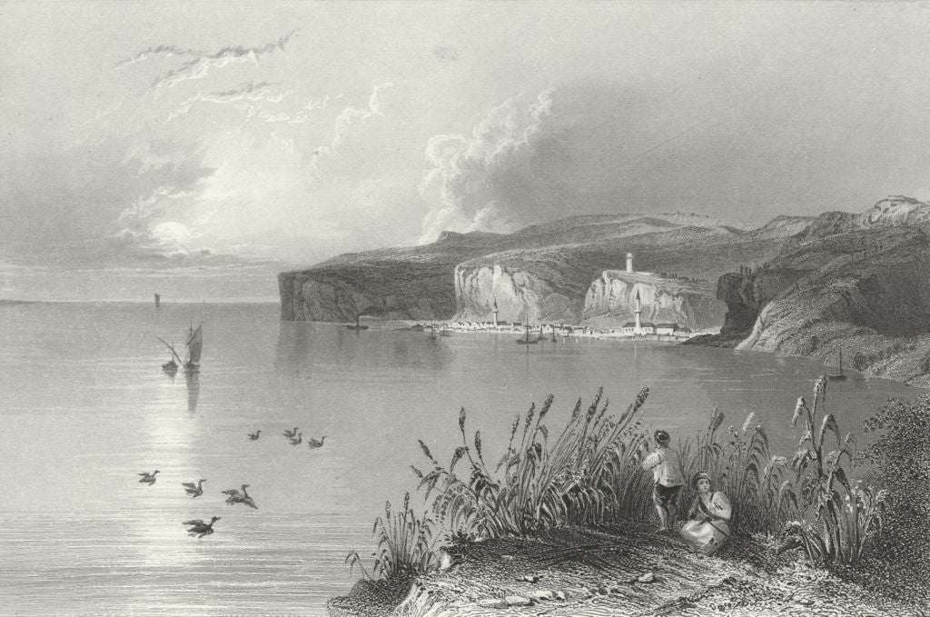 BULGARIA. Nikopol. river boat water fowl Cliffs 1840 old antique print picture